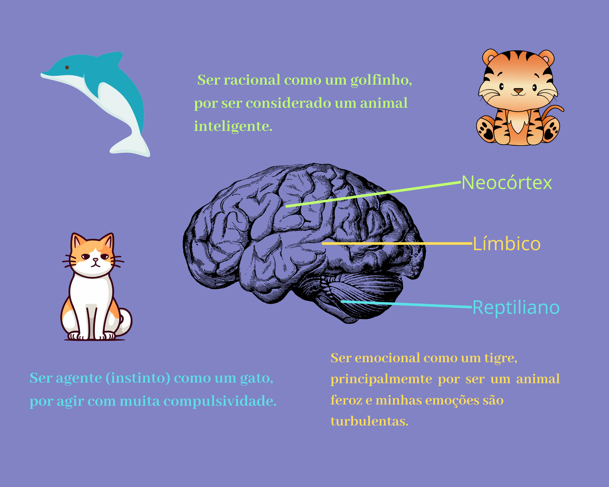 Anexo Cérebro trino_20241002_200238_0000.png